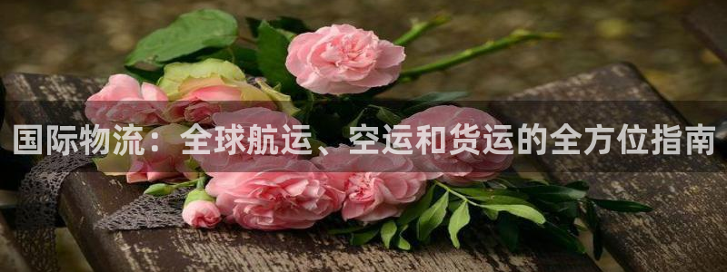 28圈链接来一个