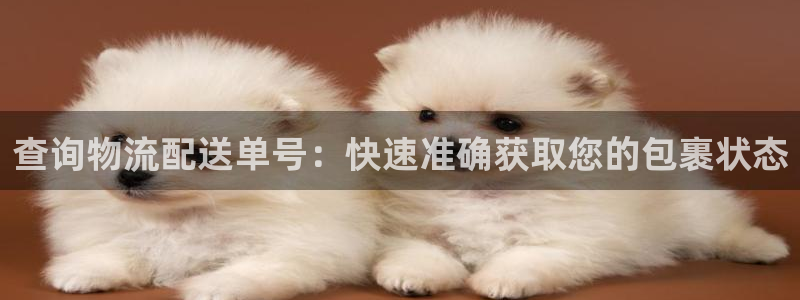 28圈注册登录链接：查询物流配送单号
