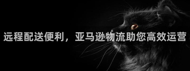 28圈自行车图片：远程配送便利，亚马