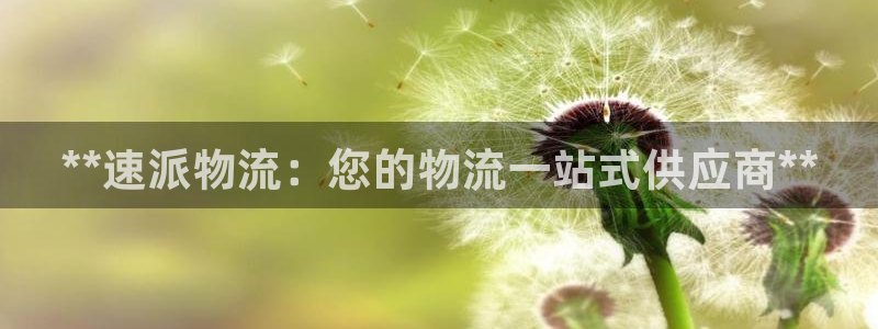 28圈百度百科：**速派物流：您的物