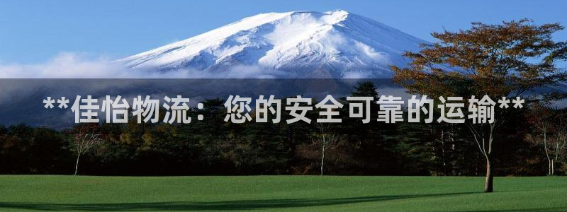 28圈选28ng官网：**佳怡物流：