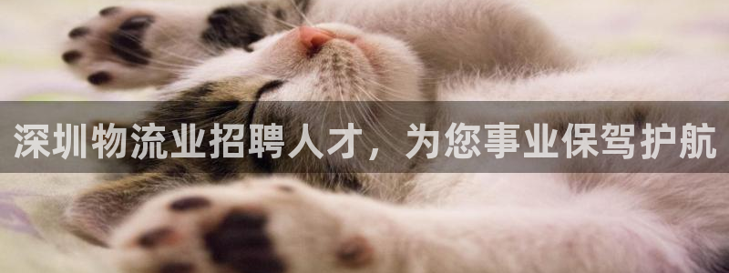 28圈充值不处理：深圳物流业招聘人才