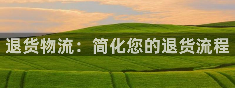 加拿大28圈数字规则：退货物流：简化