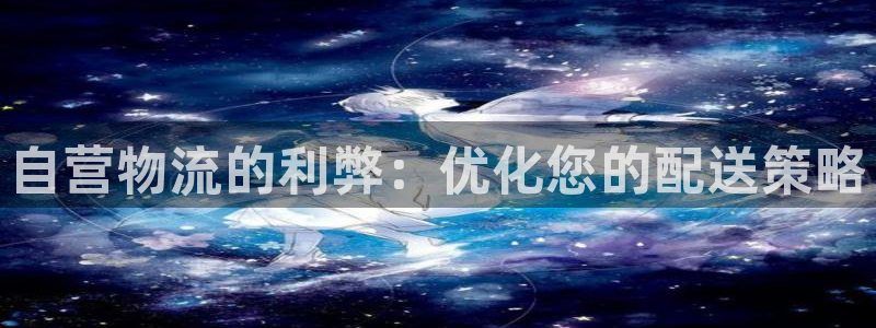 28圈注册平台：自营物流的利弊：优化