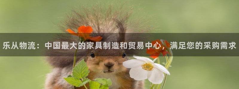 南宫28圈官网版：乐从物流：中国最大