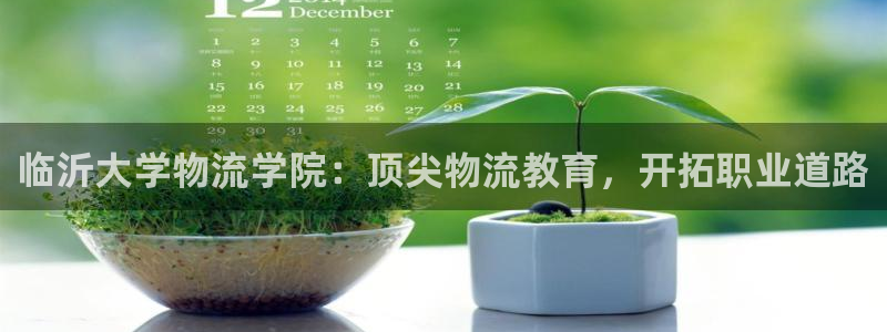 28圈圈助手：临沂大学物流学院：顶尖