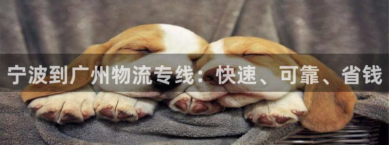 28圈和南宫28什么关系：宁波到广州