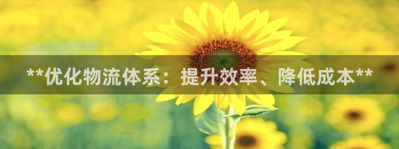 28圈登录网：**优化物流体系：提升