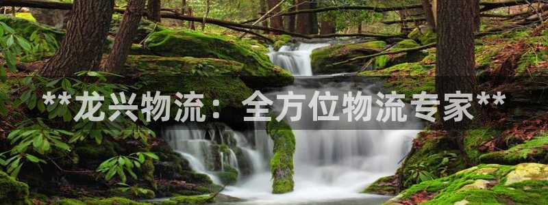 28圈注册网站谁有：**龙兴物流：全