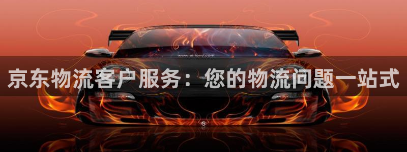 28圈的自行车：京东物流客户服务：您
