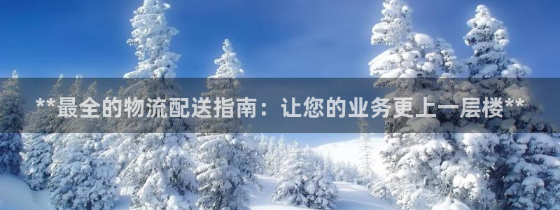 28圈辅助