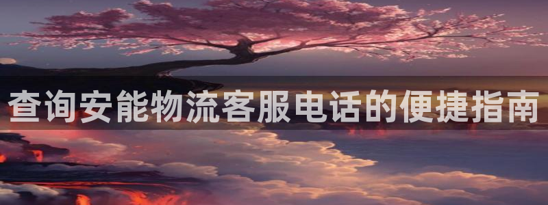 28圈注册问一问：查询安能物流客服电