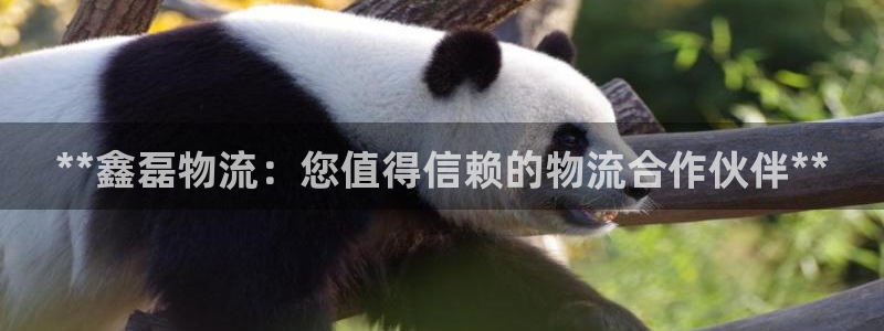 28圈女王中奖记录查询：**鑫磊物流