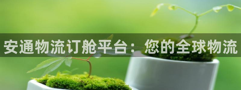 28圈激活码：安通物流订舱平台：您的