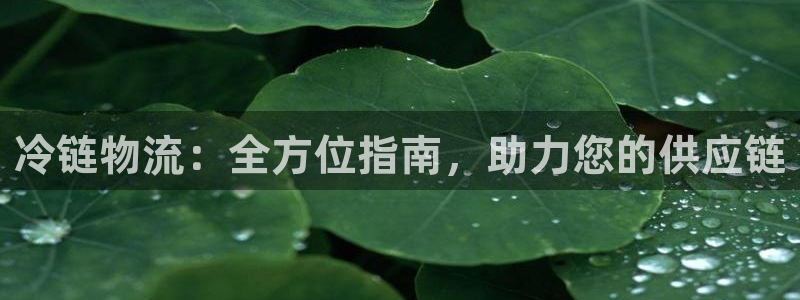 28圈加拿大官网：冷链物流：全方位指