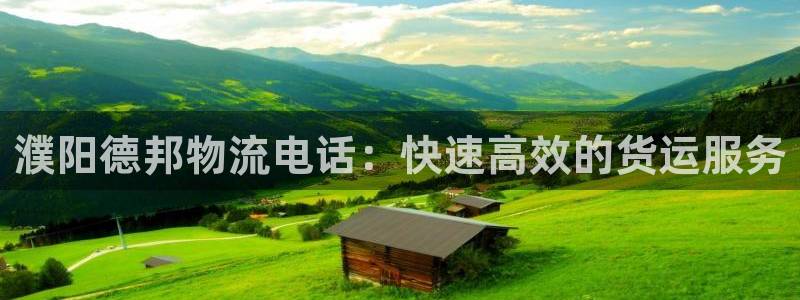 28圈：濮阳德邦物流电话：快速高效的
