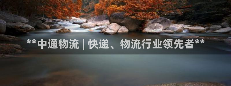 28圈注册步骤：**中通物流 | 快