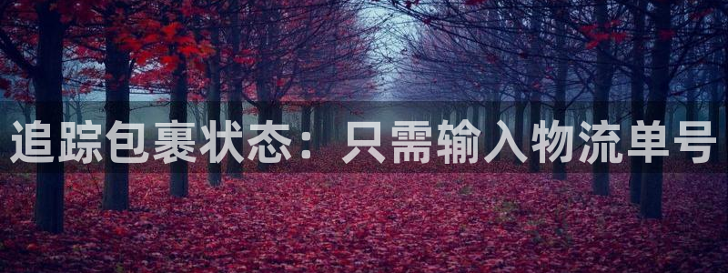 28圈充值：追踪包裹状态：只需输入物