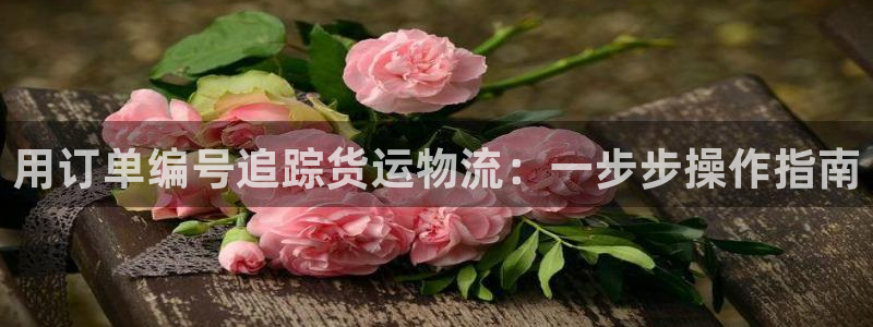 28圈注册官网：用订单编号追踪货运物