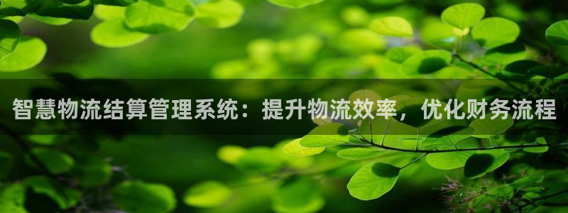 28圈昵称：智慧物流结算管理系统：提
