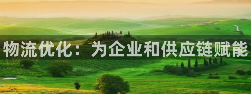 28圈麻将胡了在线试玩：物流优化：为
