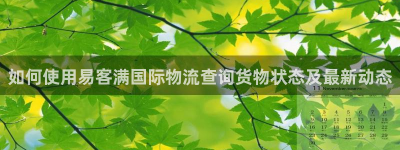28圈可以退款吗：如何使用易客满国际