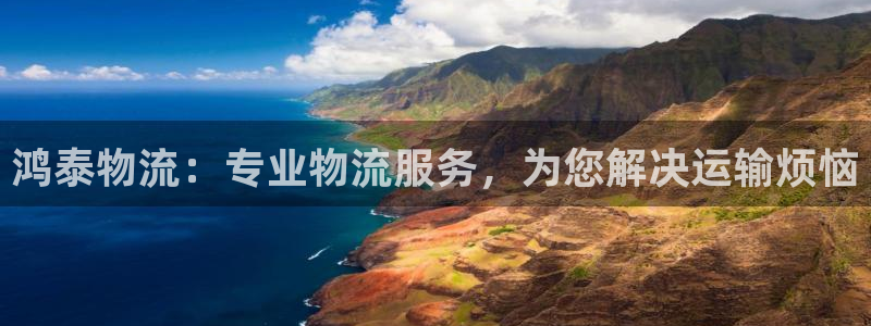 28圈充值不处理：鸿泰物流：专业物流