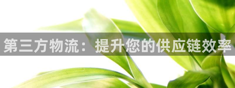 加拿大28圈数字规则：第三方物流：提