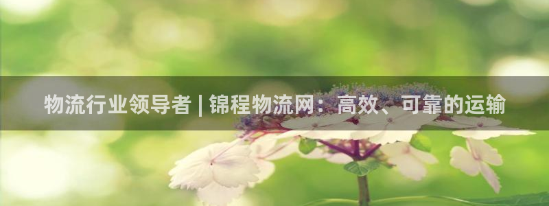 28圈h5链接：物流行业领导者 | 