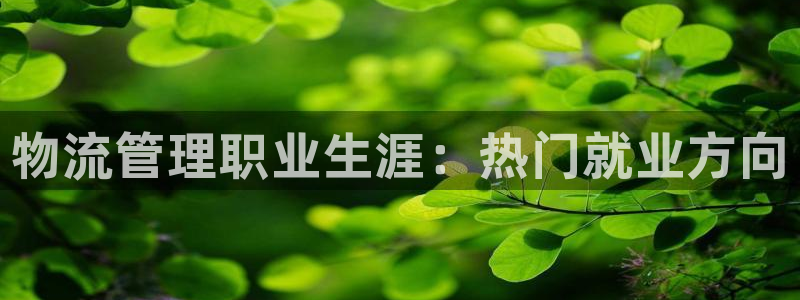 28圈登录流程：物流管理职业生涯：热
