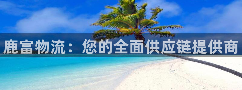 28圈下载不了：鹿富物流：您的全面供