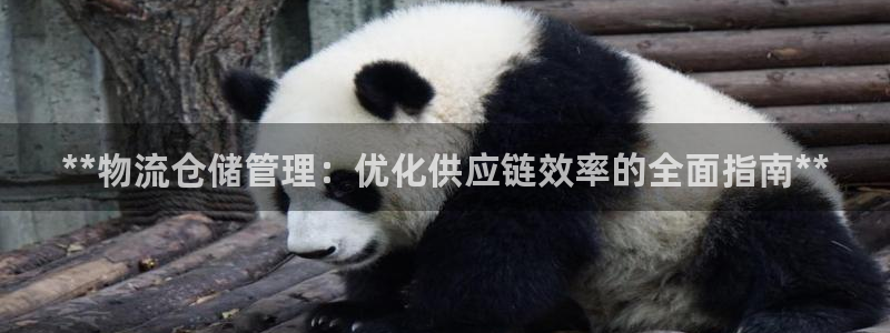 28圈pc预测：**物流仓储管理：优