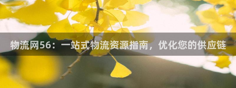28圈充值方式：物流网56：一站式物