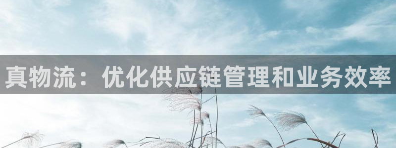 28圈如何注销账号：真物流：优化供应