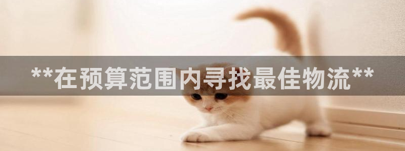 28圈注册入口与教程：**在预算范围