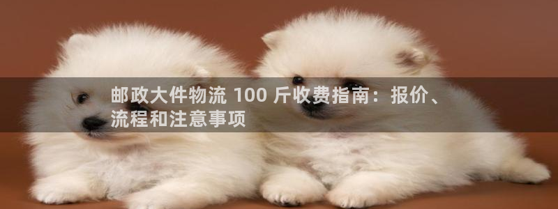 南宫28圈官网版：邮政大件物流 10