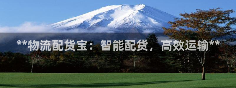 28圈注册登录流程：**物流配货宝：