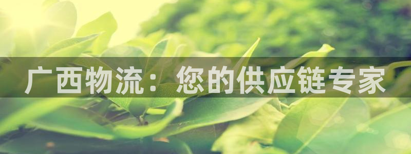 28圈官网多少