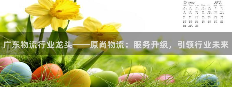 28圈旗下：广东物流行业龙头——原尚