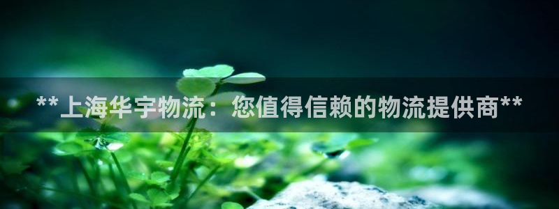 28圈加拿大app预测：**上海华宇