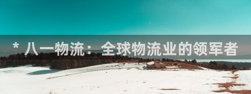 28圈注册与教程：* 八一物流：全球