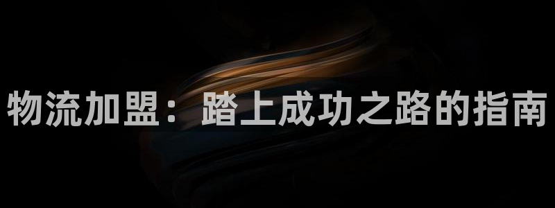 28圈电子：物流加盟：踏上成功之路的