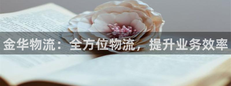 28圈注册网站多少钱一个：金华物流：