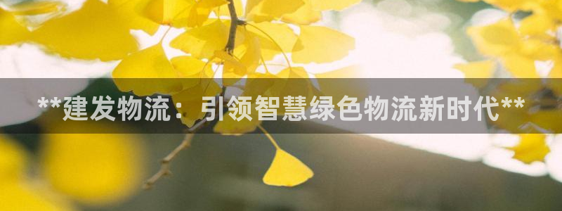 28圈免费：**建发物流：引领智慧绿