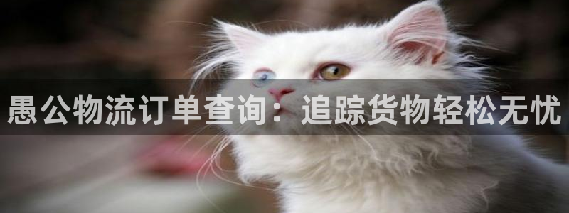28圈注册链接：愚公物流订单查询：追