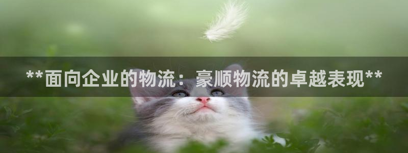 28圈注册号：**面向企业的物流：豪