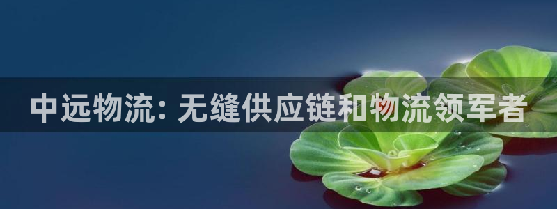 28圈官方网站是多少：中远物流: 无缝供应链和物流领军者