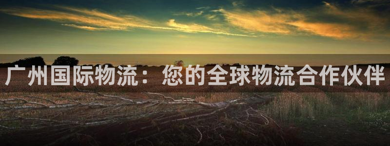 28圈如何注销账号：广州国际物流：您