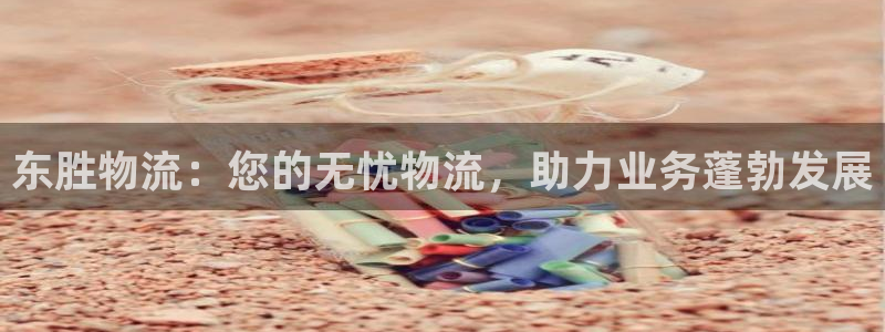 28圈系统自动保护：东胜物流：您的无