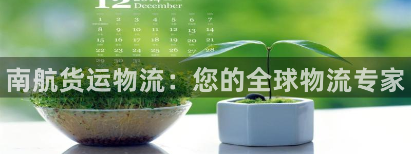 28圈模拟：南航货运物流：您的全球物